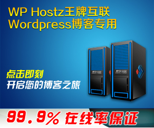 王牌互联300x250推广banner 02