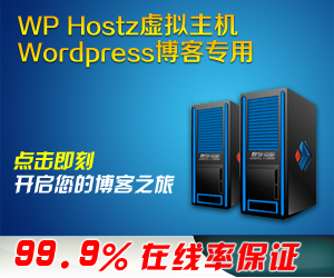王牌互联300x250推广banner 04