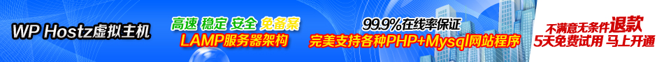 王牌互联950x90推广banner 02