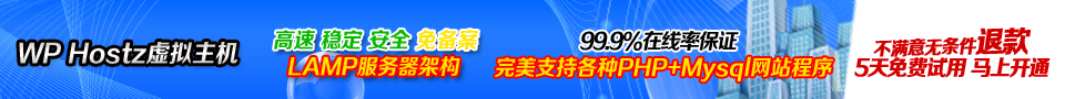 王牌互联960x90推广banner 02