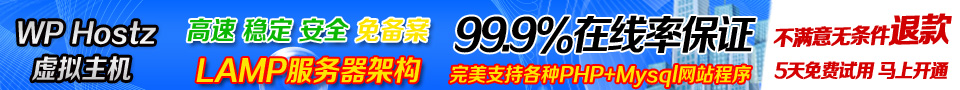 王牌互联960x90推广banner 03